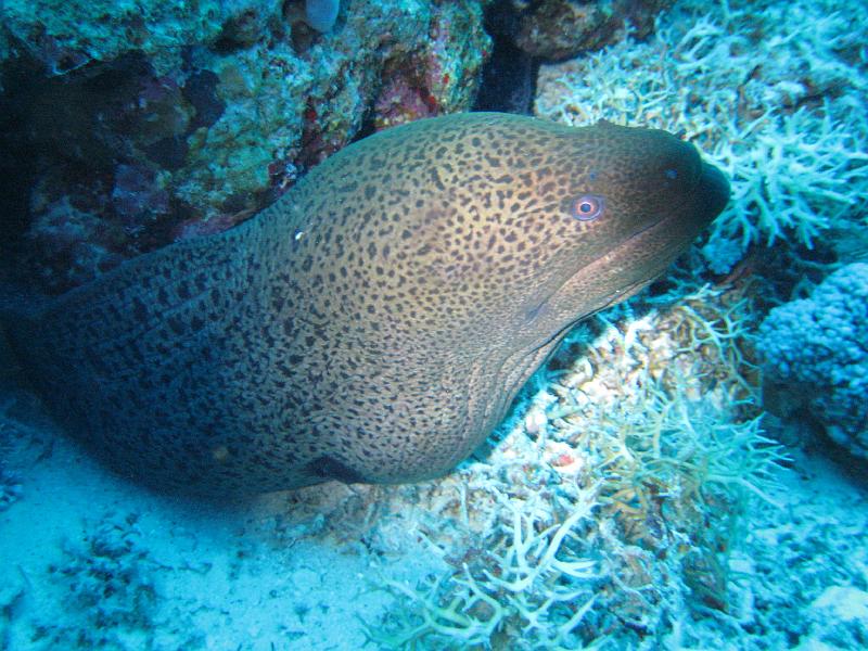 2009-12-03 15-36-10S.JPG